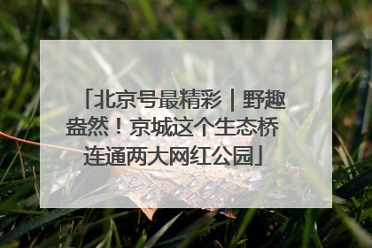 北京号最精彩｜野趣盎然！京城这个生态桥连通两大网红公园