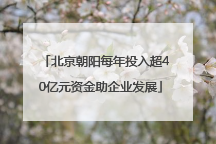 北京朝阳每年投入超40亿元资金助企业发展