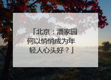 北京：潘家园何以悄悄成为年轻人心头好？