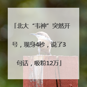北大“韦神”突然开号，现身4秒，说了3句话，吸粉12万
