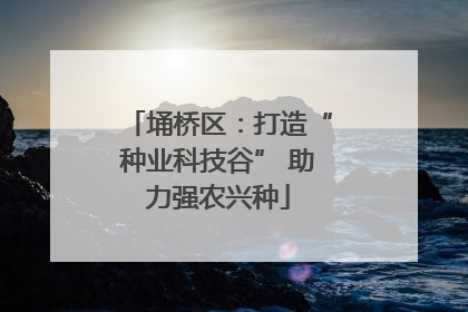 埇桥区：打造“种业科技谷” 助力强农兴种