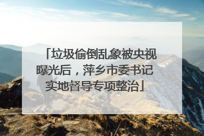 垃圾偷倒乱象被央视曝光后，萍乡市委书记实地督导专项整治