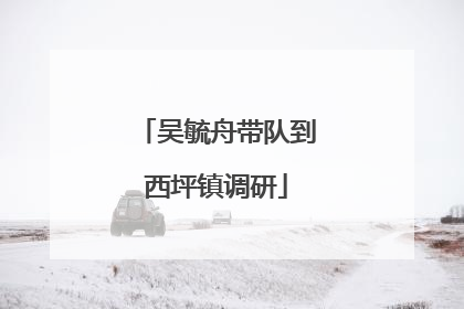 吴毓舟带队到西坪镇调研
