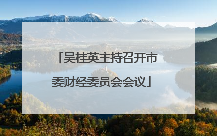 吴桂英主持召开市委财经委员会会议