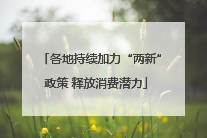 各地持续加力“两新”政策 释放消费潜力