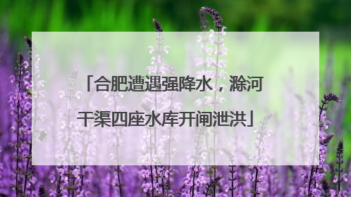 合肥遭遇强降水，滁河干渠四座水库开闸泄洪