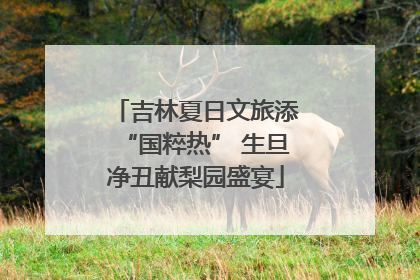 吉林夏日文旅添“国粹热” 生旦净丑献梨园盛宴