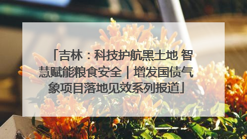 吉林：科技护航黑土地 智慧赋能粮食安全｜增发国债气象项目落地见效系列报道