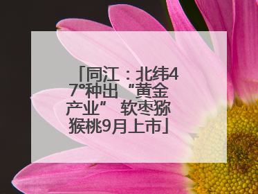 同江：北纬47°种出“黄金产业” 软枣猕猴桃9月上市