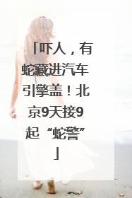 吓人，有蛇藏进汽车引擎盖！北京9天接9起“蛇警”