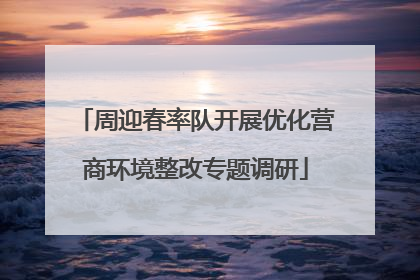 周迎春率队开展优化营商环境整改专题调研