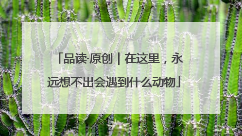 品读·原创｜在这里，永远想不出会遇到什么动物