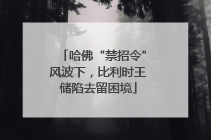 哈佛“禁招令”风波下，比利时王储陷去留困境
