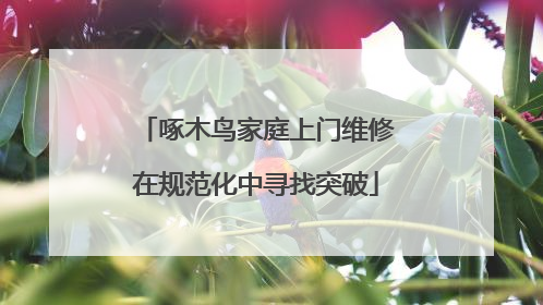 啄木鸟家庭上门维修在规范化中寻找突破