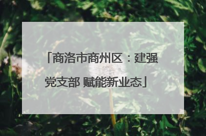 商洛市商州区：建强党支部 赋能新业态