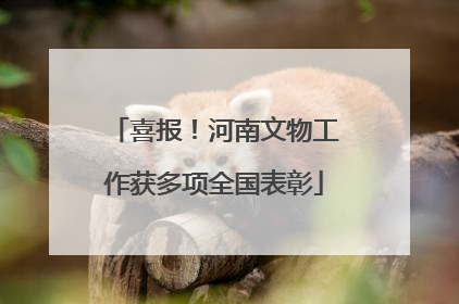 喜报！河南文物工作获多项全国表彰