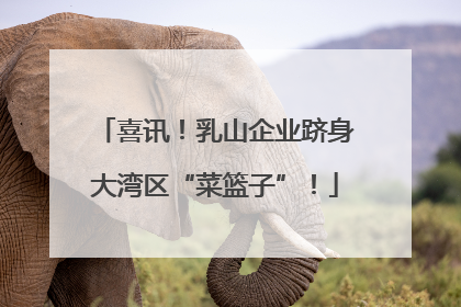 喜讯！乳山企业跻身大湾区“菜篮子”！