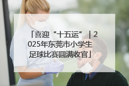 喜迎“十五运”｜2025年东莞市小学生足球比赛圆满收官