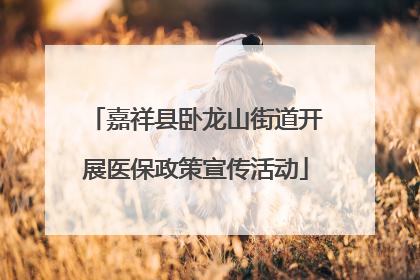 嘉祥县卧龙山街道开展医保政策宣传活动