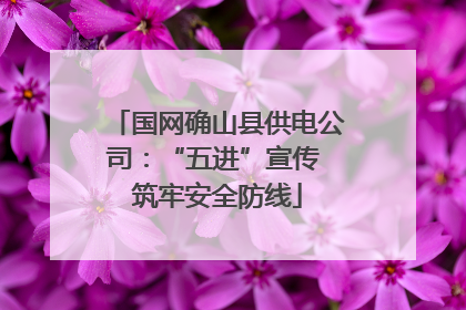 国网确山县供电公司：“五进”宣传 筑牢安全防线