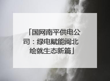 国网南平供电公司：绿电赋能闽北 绘就生态新篇