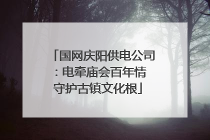 国网庆阳供电公司：电牵庙会百年情 守护古镇文化根