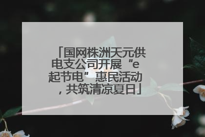 国网株洲天元供电支公司开展“e起节电”惠民活动，共筑清凉夏日