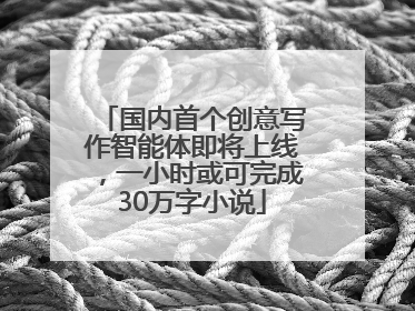 国内首个创意写作智能体即将上线，一小时或可完成30万字小说