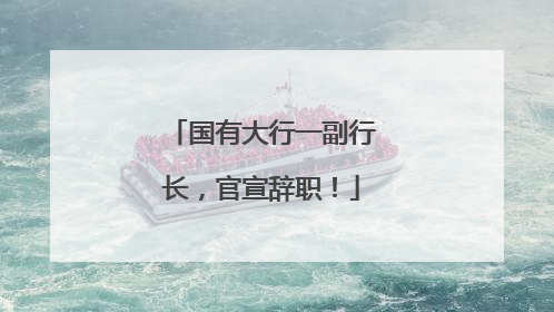 国有大行一副行长，官宣辞职！