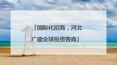 国际化招商，河北广邀全球投资客商