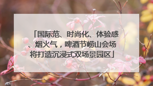 国际范、时尚化、体验感、烟火气，啤酒节崂山会场将打造沉浸式双场景园区