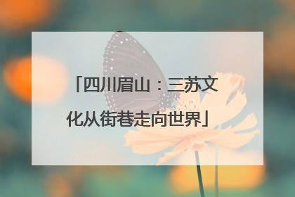 四川眉山：三苏文化从街巷走向世界