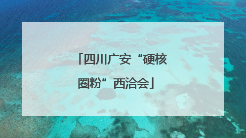 四川广安“硬核圈粉”西洽会