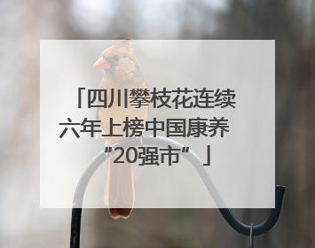 四川攀枝花连续六年上榜中国康养“20强市”