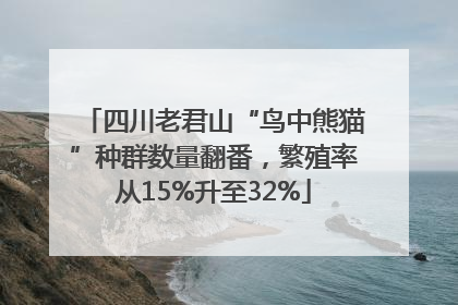 四川老君山“鸟中熊猫”种群数量翻番，繁殖率从15%升至32%