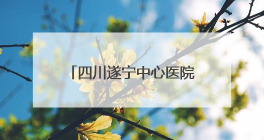 四川遂宁中心医院牵手意大利萨莱诺大学附属医院 四大领域开展全面合作