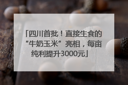 四川首批！直接生食的“牛奶玉米”亮相，每亩纯利提升3000元