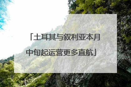 土耳其与叙利亚本月中旬起运营更多直航