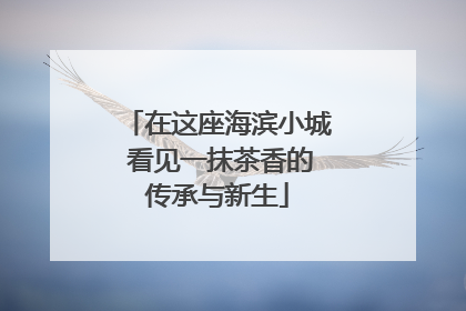 在这座海滨小城 看见一抹茶香的传承与新生