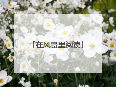 在风景里阅读