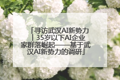 寻访武汉AI新势力︱35岁以下AI企业家群落崛起——基于武汉AI新势力的调研