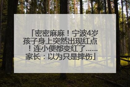 密密麻麻！宁波4岁孩子身上突然出现红点！连小便都变红了……家长：以为只是摔伤