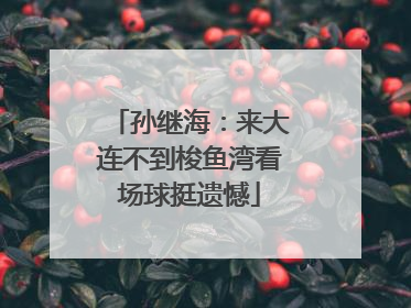 孙继海：来大连不到梭鱼湾看场球挺遗憾