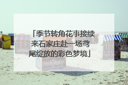 季节转角花事接续 来石家庄赴一场鸢尾绽放的彩色梦境