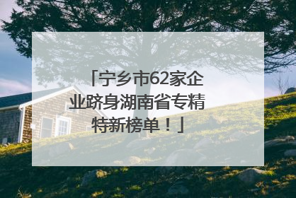 宁乡市62家企业跻身湖南省专精特新榜单！