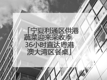 宁夏利通区供港蔬菜迎来采收季 36小时直达粤港澳大湾区餐桌