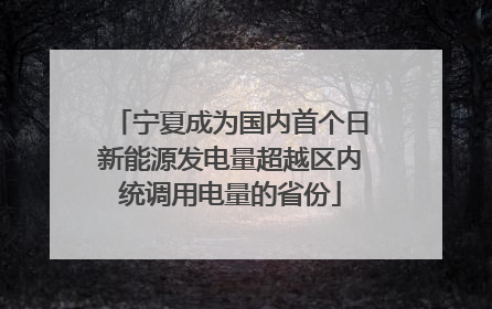 宁夏成为国内首个日新能源发电量超越区内统调用电量的省份