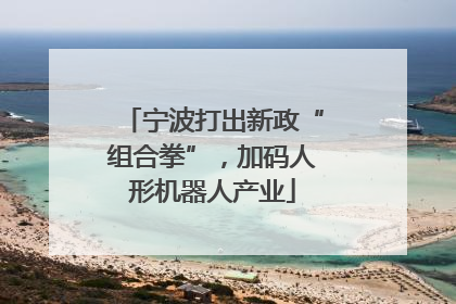 宁波打出新政“组合拳”，加码人形机器人产业