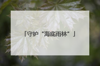守护“海底雨林”