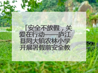 安全不放假，关爱在行动——庐江县同大镇农林小学开展暑假前安全教育大家访